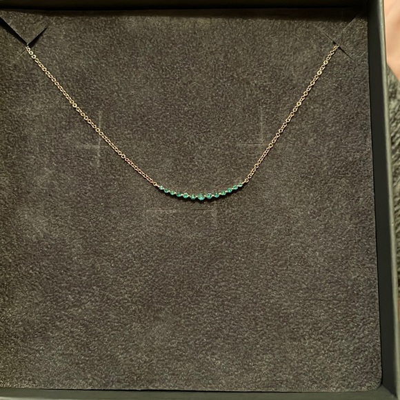 Nicole Rose Jewelry - 14kt gold emerald necklace